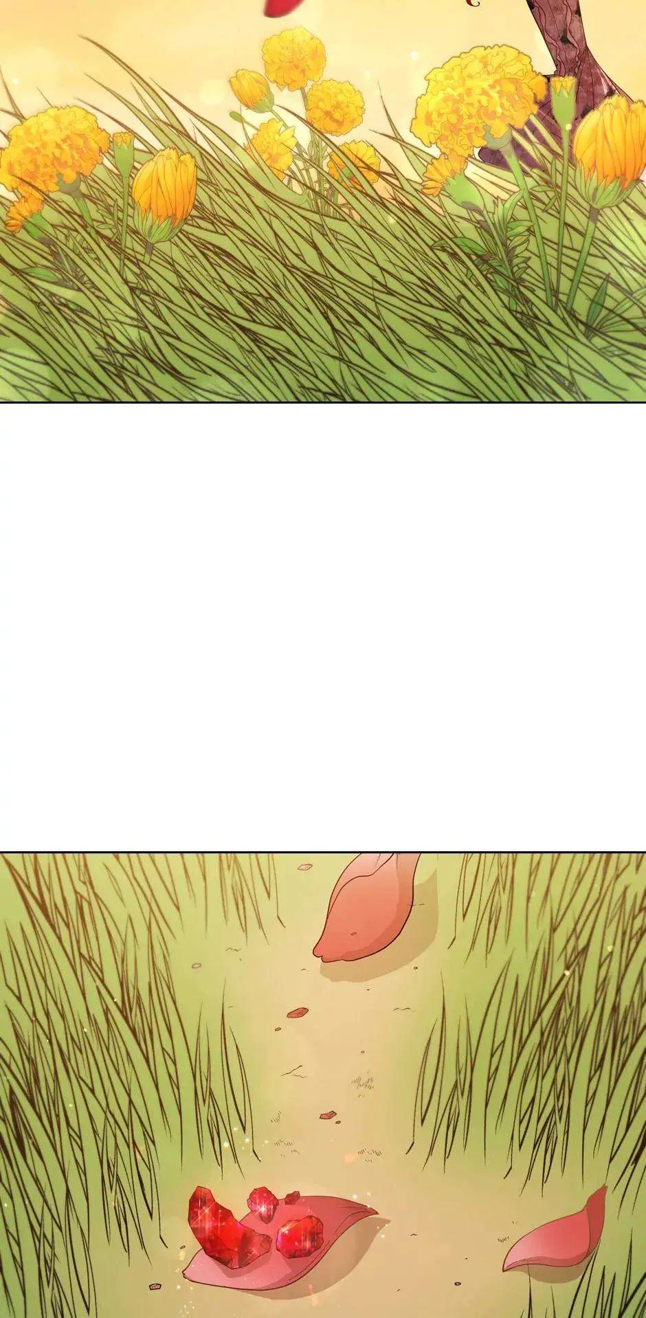 Solitary Lady Chapter 107 – Page 74