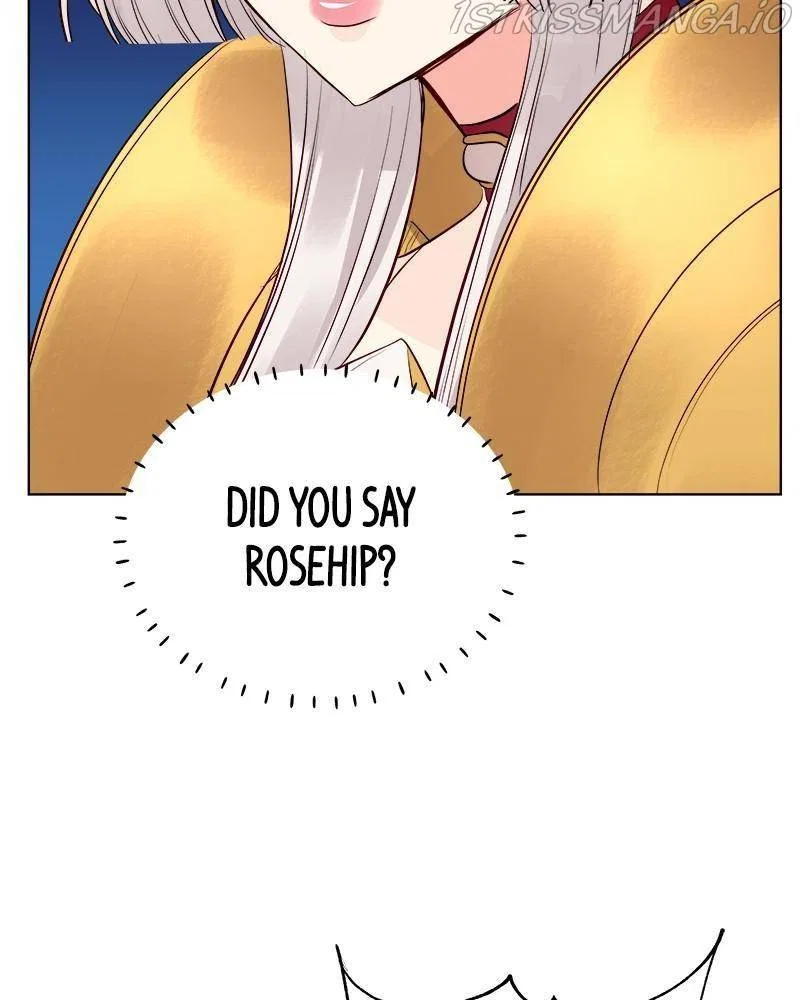 The Princess’ Jewelry Box Chapter 35 – Page 73