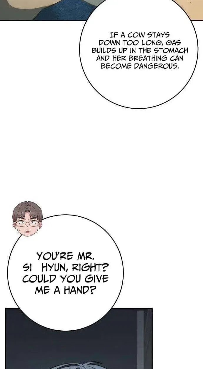 Healing With Deulbi Chapter 14 – Page 17