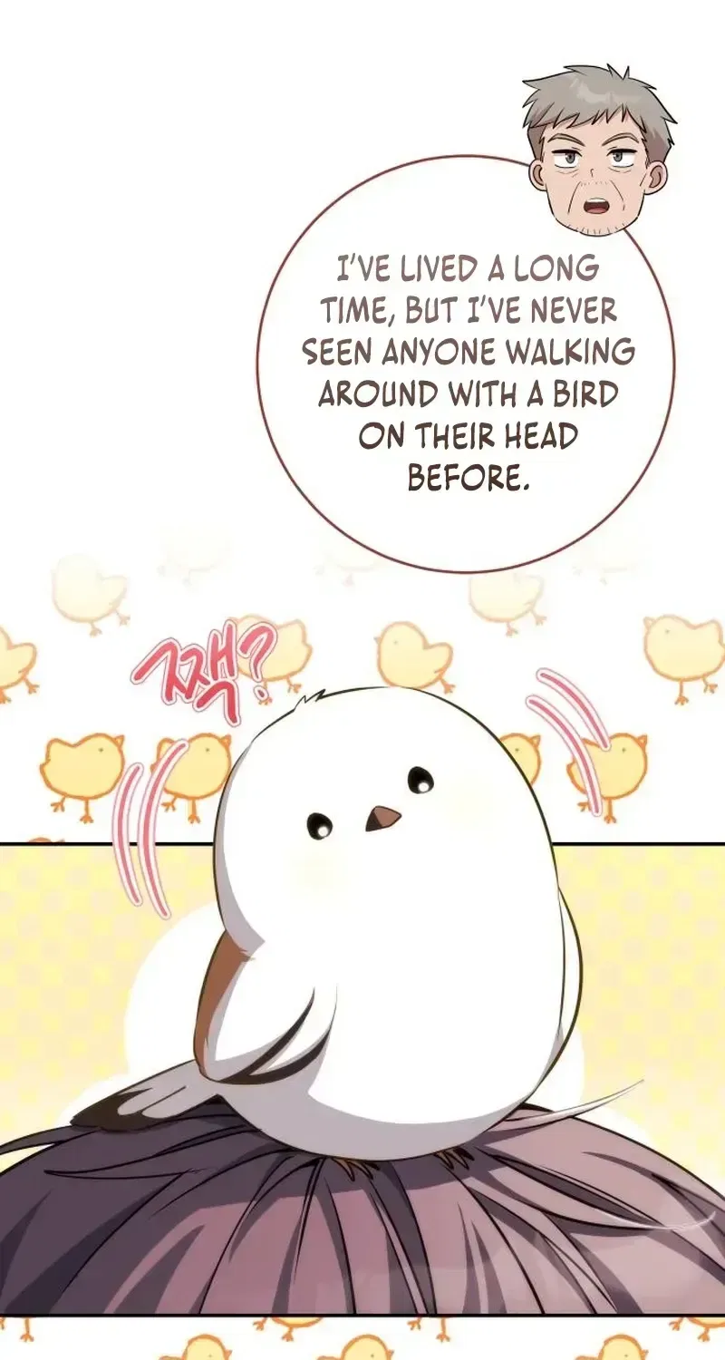 Healing With Deulbi Chapter 5 – Page 8