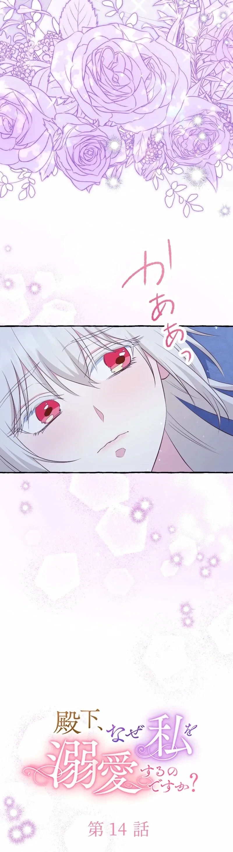 Your Highness, Why Do You Dote on Me? Chapter 14 – Page 9