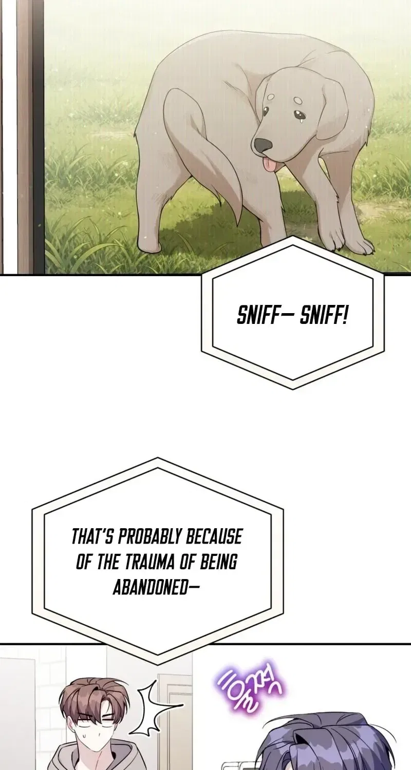 An Insincere Idol’s Blank Slate Chapter 86 – Page 19