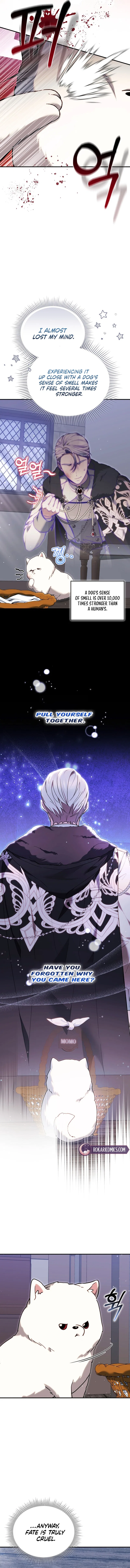 When My Pet Became the Villain Chapter 5 – Page 5