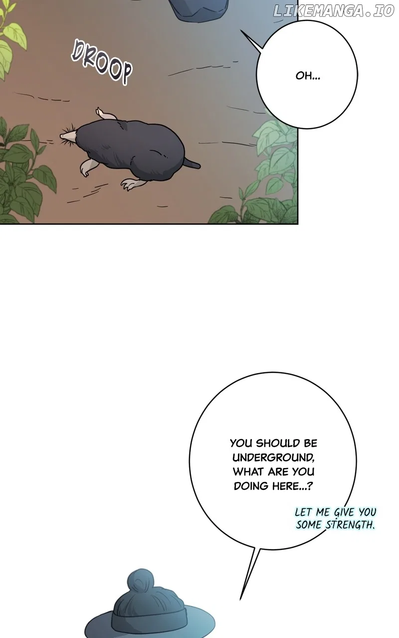 The Goddess’s Guide to Farming Chapter 56 – Page 66
