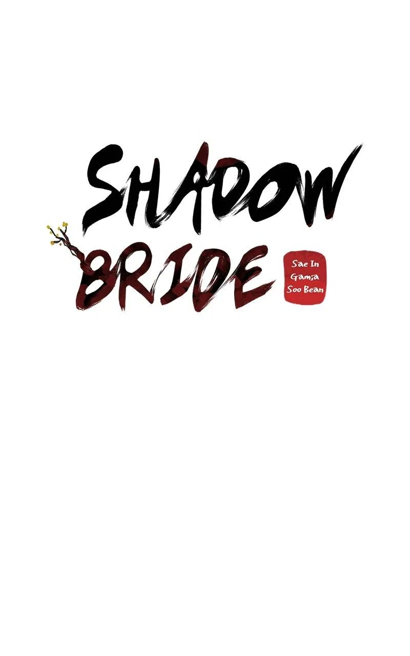 Shadow Bride Chapter 87 – Page 47