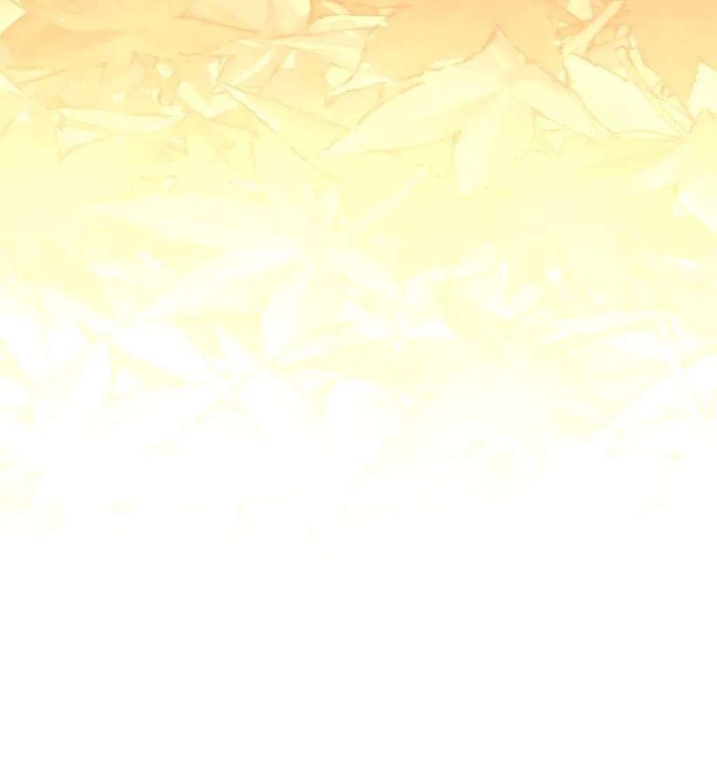 I Will Politely Decline The Male Lead Chapter 71 – Page 20