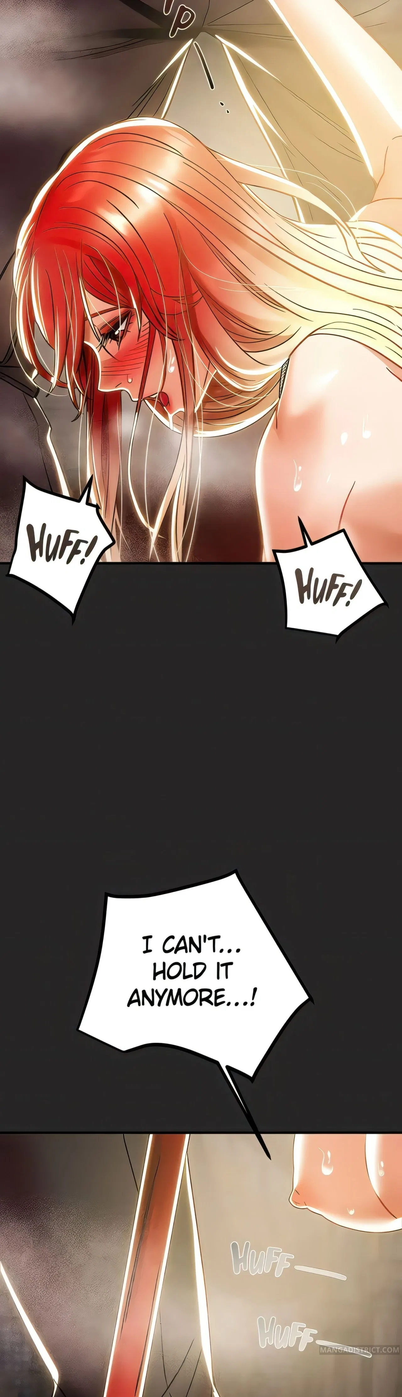 The Marquis and the Iron Wall Lady Chapter 48 – Page 68