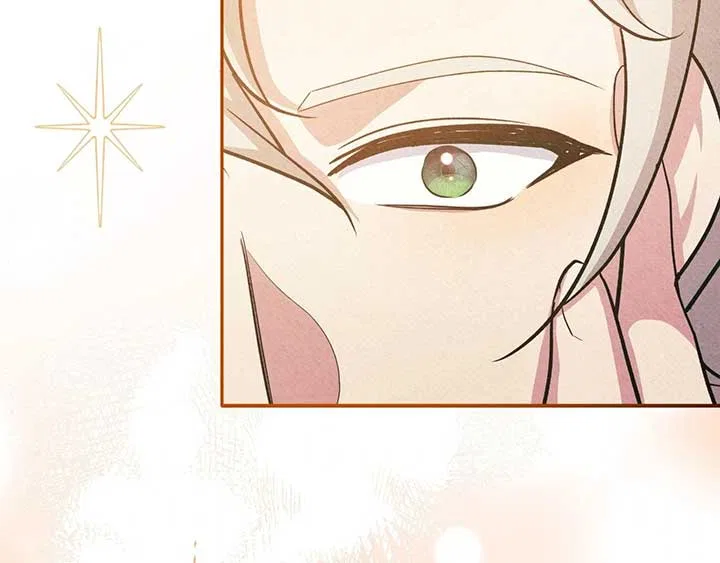 The Marquis and the Iron Wall Lady Chapter 31 – Page 161