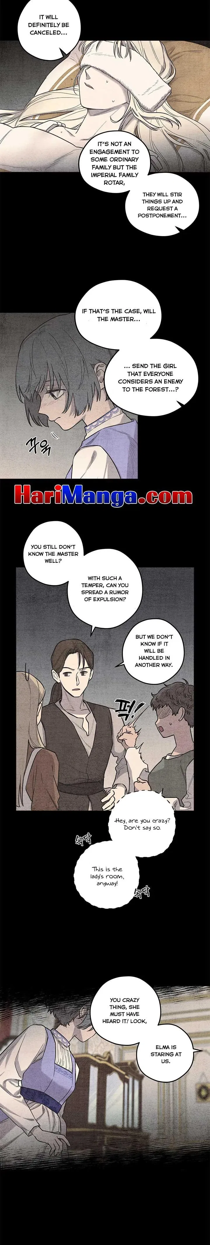Elegy of Roses Chapter 4 – Page 9