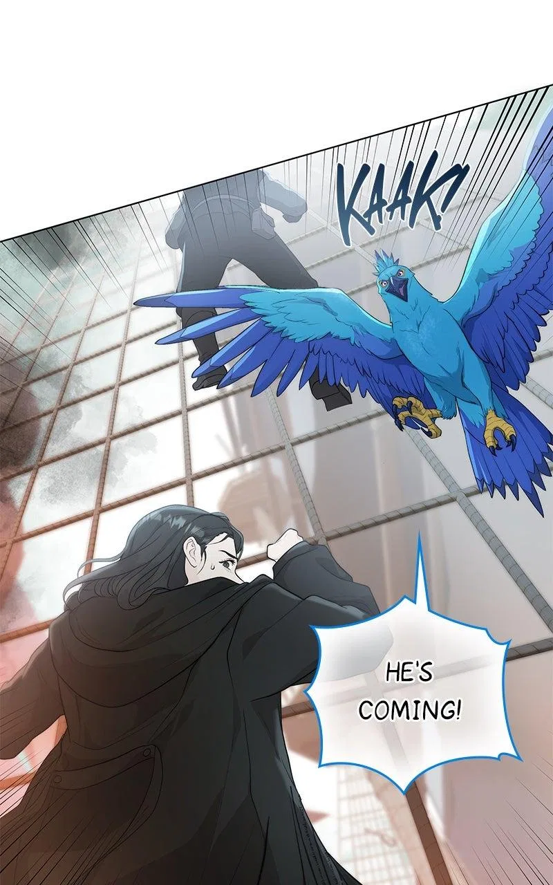 Seabird And The Wolf Chapter 87 – Page 55