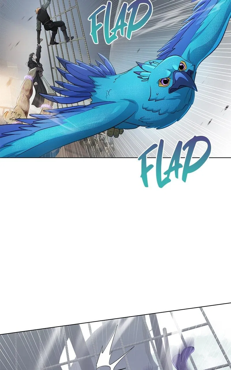 Seabird And The Wolf Chapter 87 – Page 72