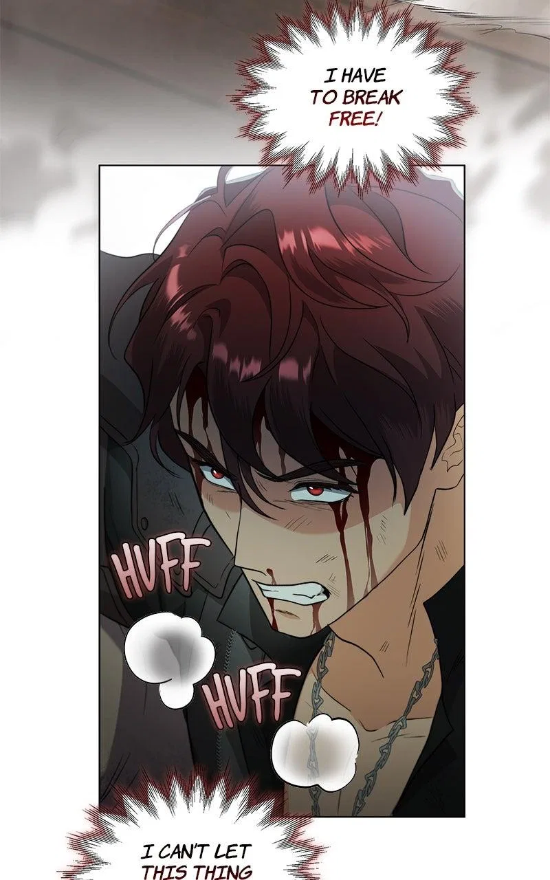 Seabird And The Wolf Chapter 82 – Page 67