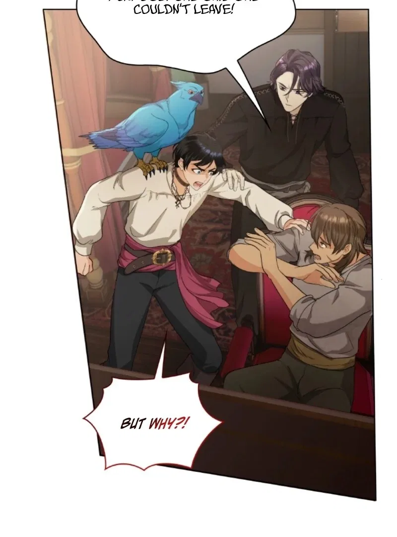 Seabird And The Wolf Chapter 68 – Page 46