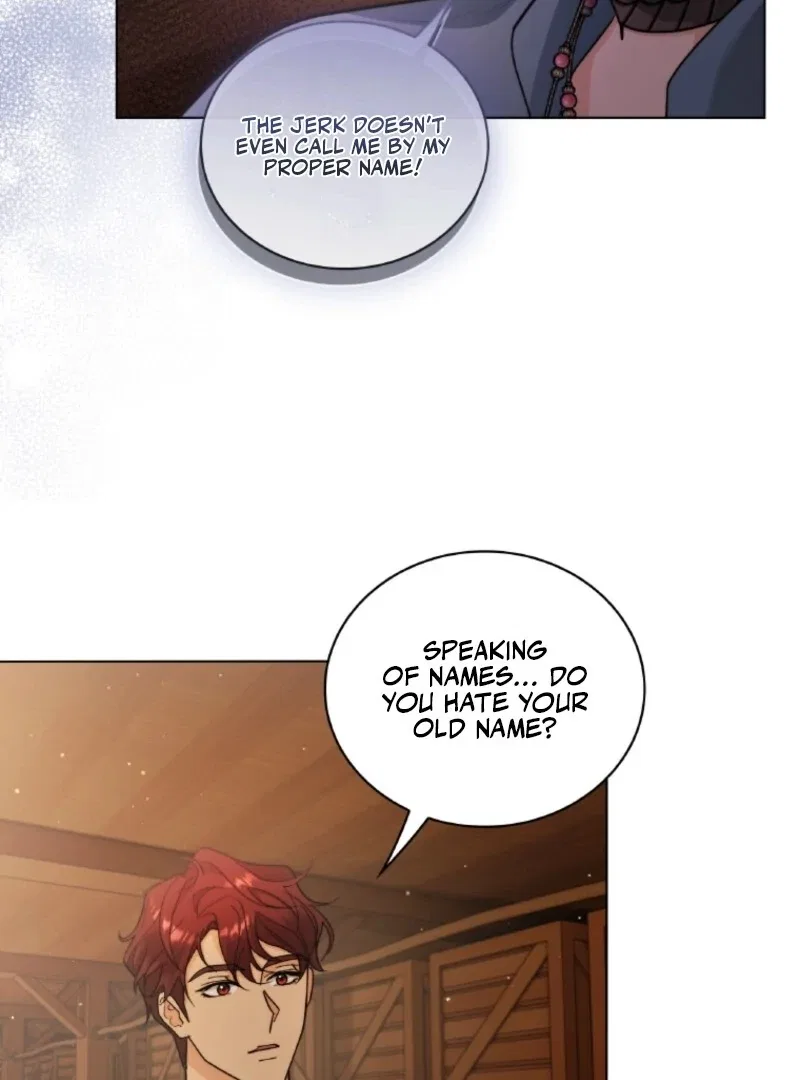Seabird And The Wolf Chapter 68 – Page 88