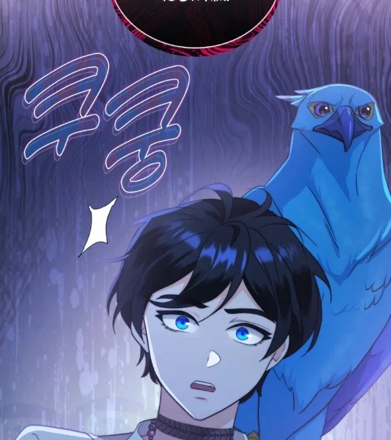 Seabird And The Wolf Chapter 67 – Page 96