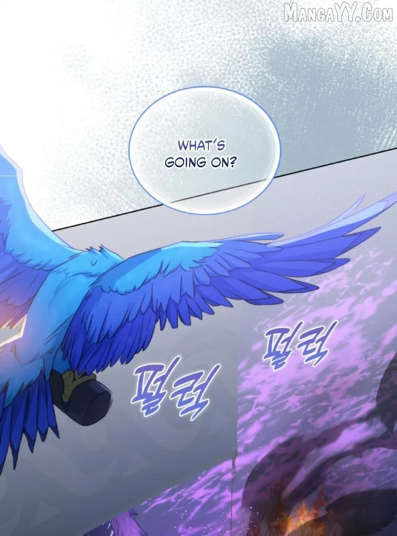 Seabird And The Wolf Chapter 66 – Page 96