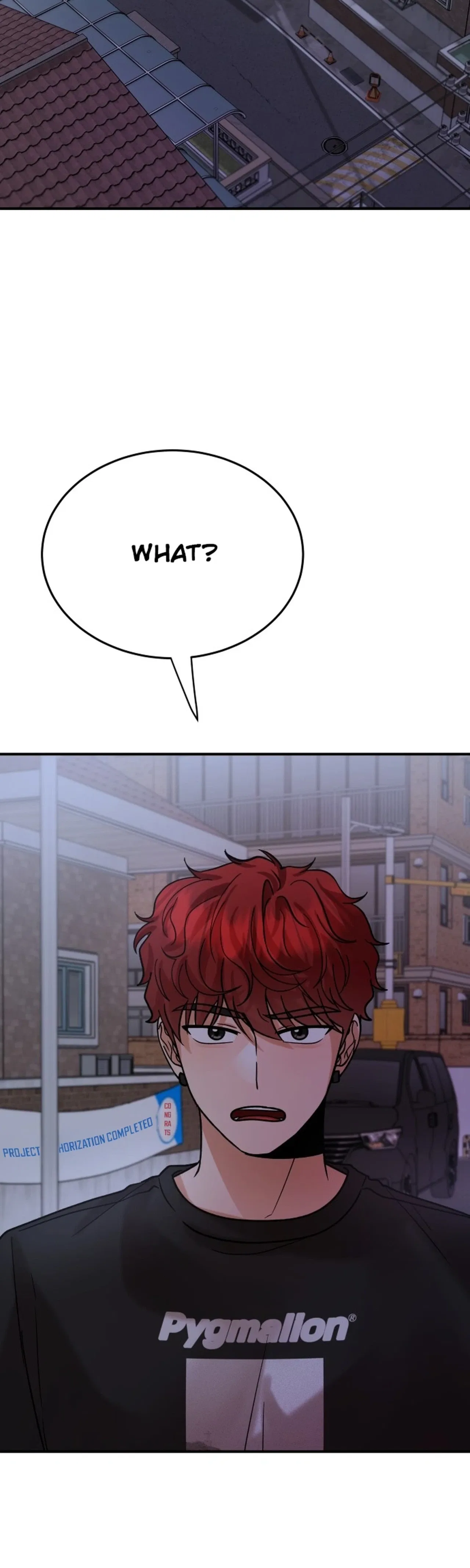 The Little Prince Reincarnate Chapter 19 – Page 2