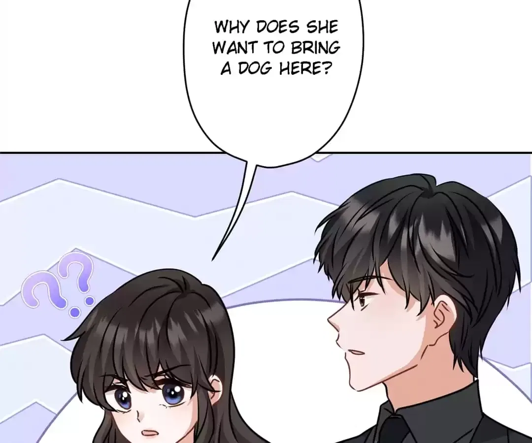 Dragon King’s Palace: The Richest Son-in-Law Chapter 161 – Page 33