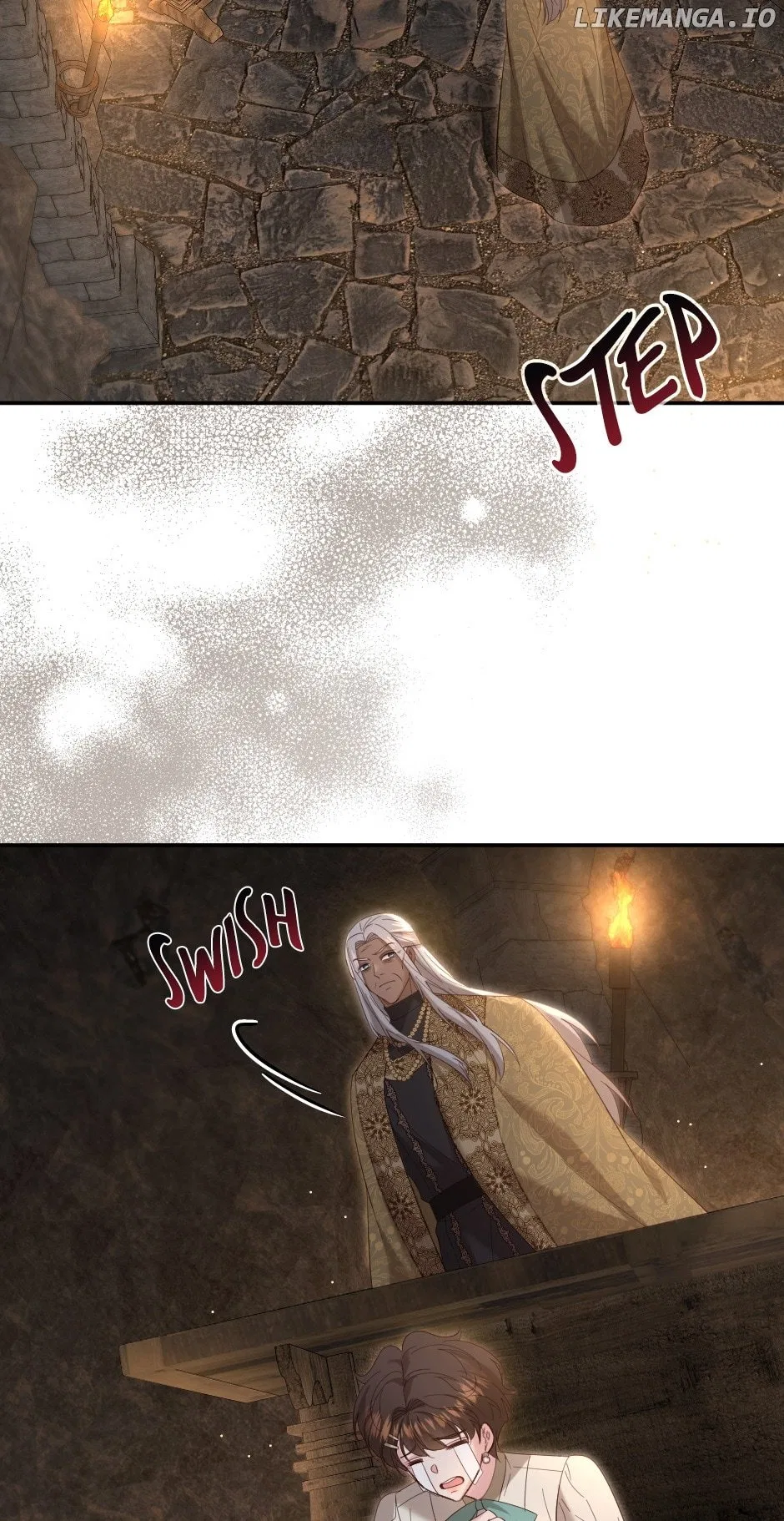 The Prince’s Personal Physician Chapter 87 – Page 3