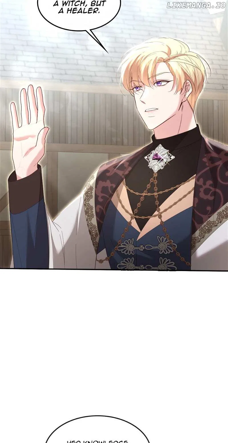 The Prince’s Personal Physician Chapter 79 – Page 29