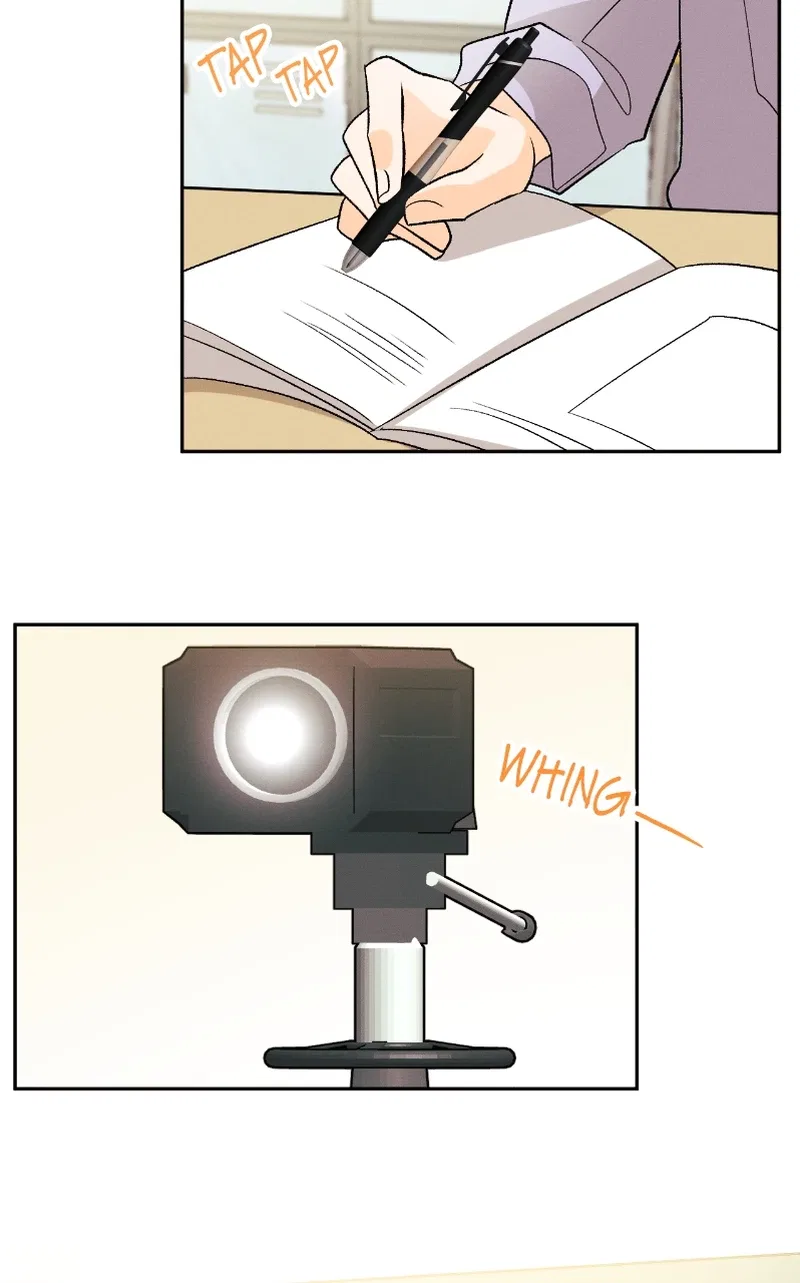 A Summer Night’s Dream Chapter 86 – Page 33
