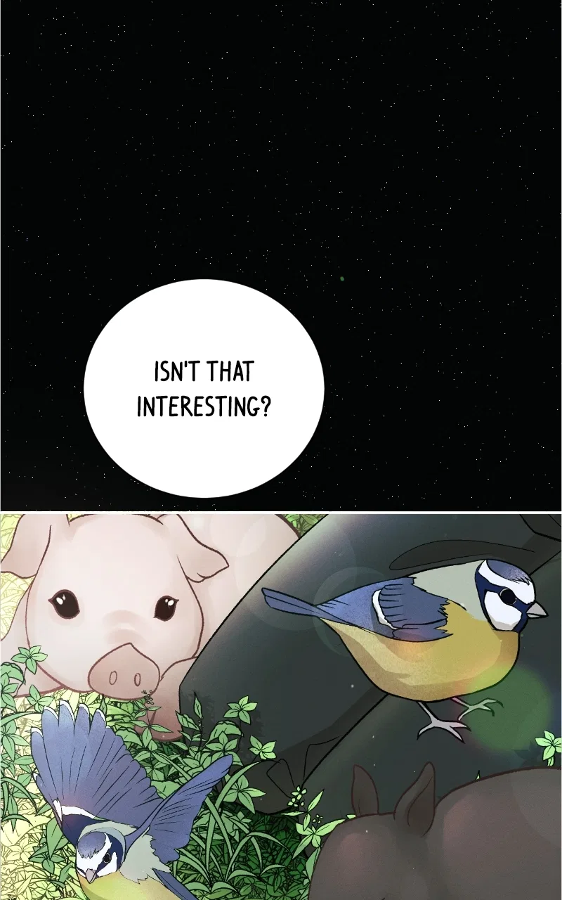 A Summer Night’s Dream Chapter 83 – Page 58