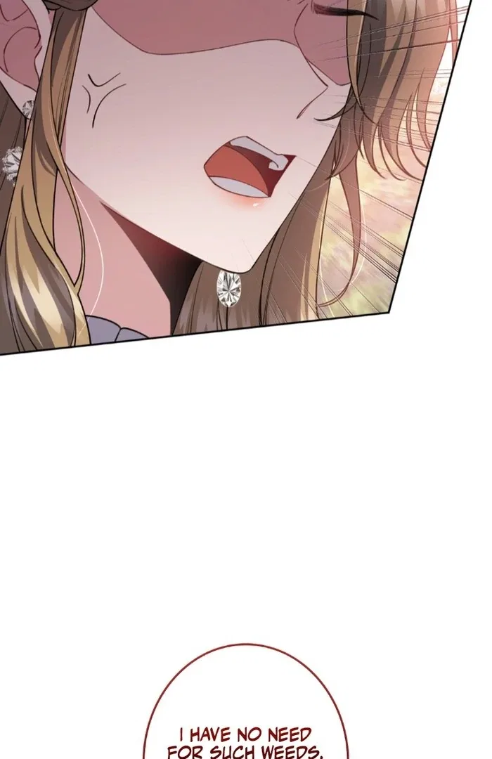 I Will Dedicate My Life To Revenge Chapter 13 – Page 46