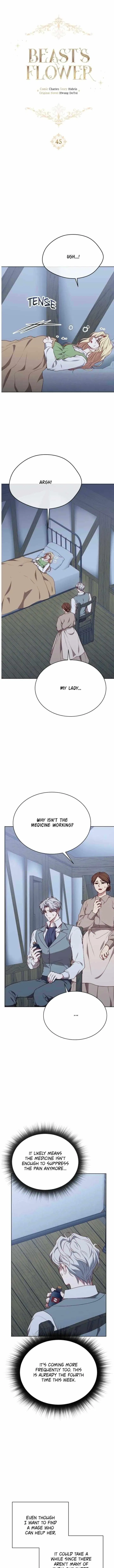 Beast’s Flower Chapter 45 – Page 6