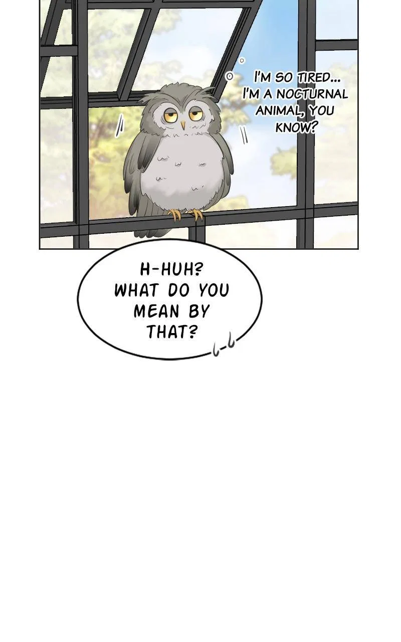 Who’s Mr. President? Chapter 51 – Page 31