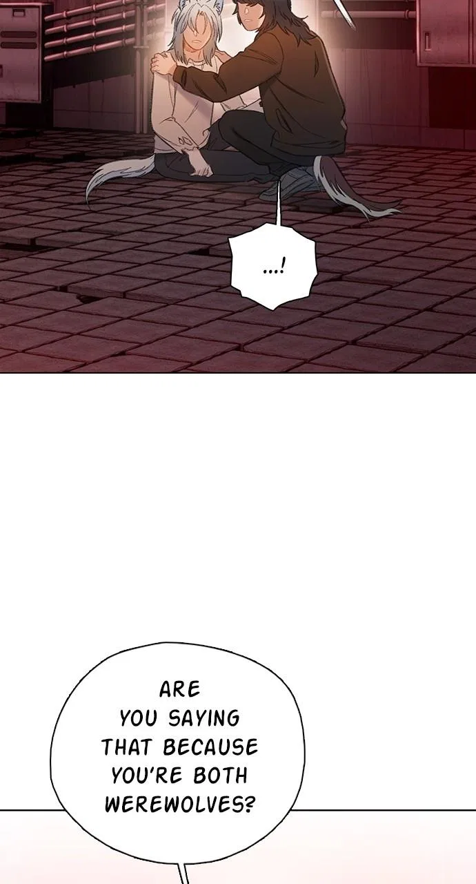 Dark Moon: The Grey City Chapter 44 – Page 38