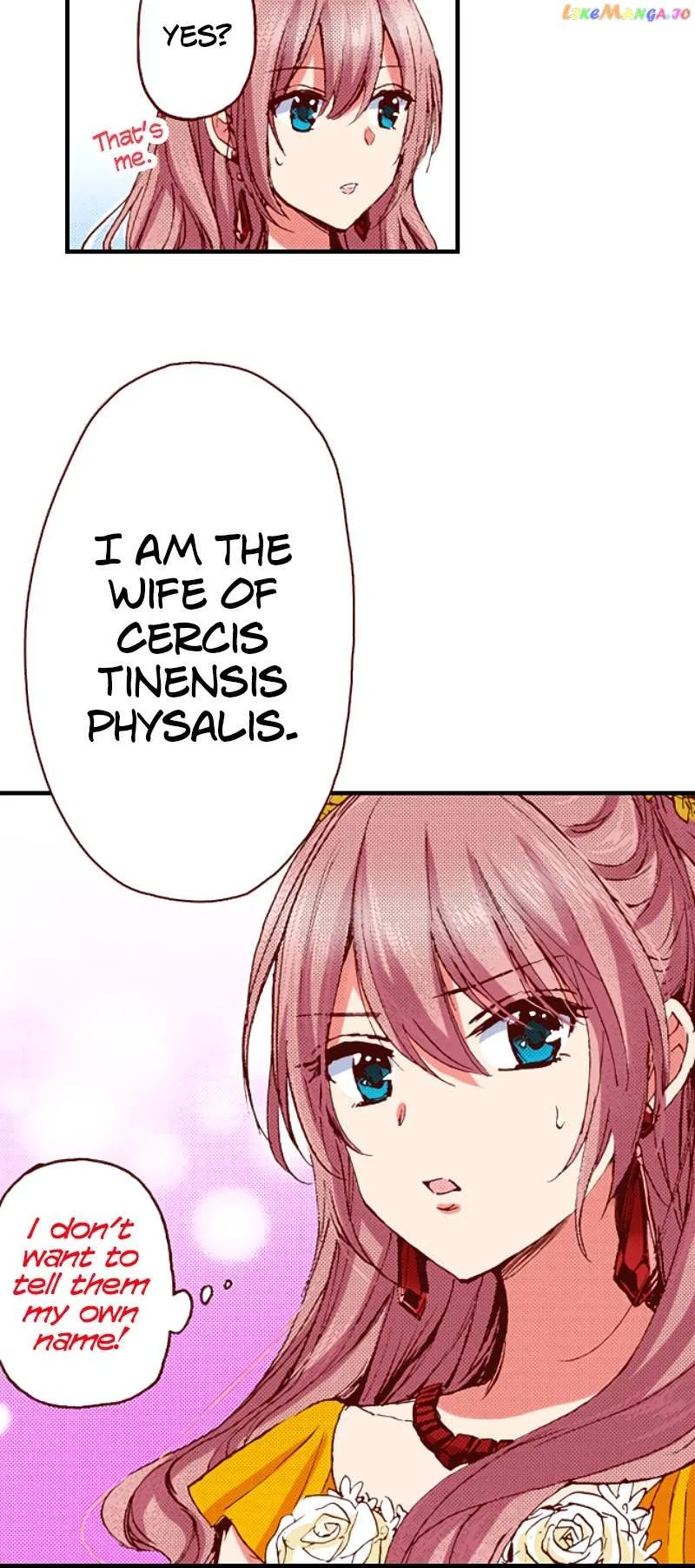 Somebody Please Explain What’s Going On Here! ~A Wedding that Began With a Contract~ Chapter 52 – Page 6