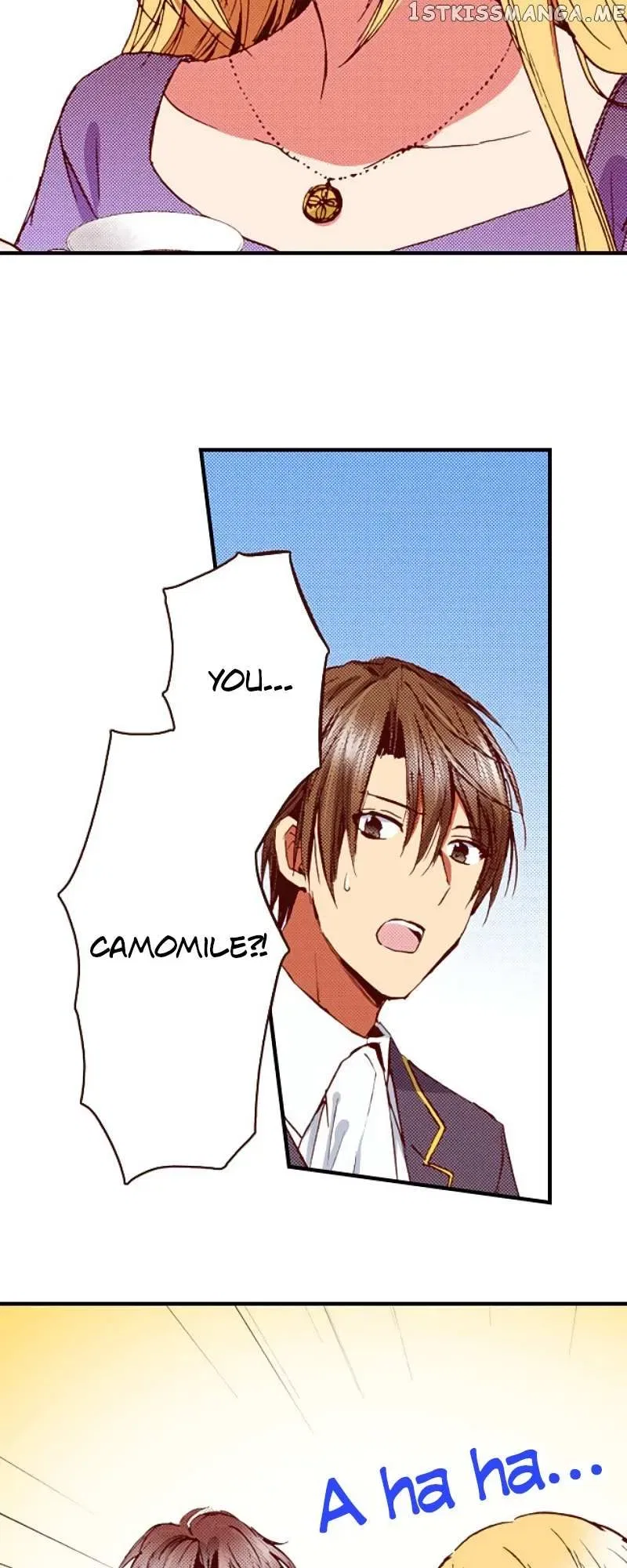 Somebody Please Explain What’s Going On Here! ~A Wedding that Began With a Contract~ Chapter 42 – Page 26
