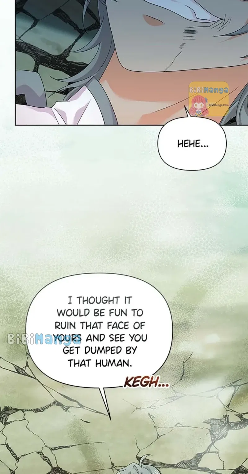 Abella’s Dessert Cafe Chapter 64 – Page 26
