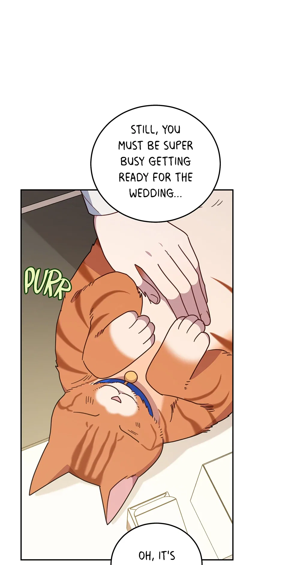 An Animal Hospital in the Border Area Chapter 150 – Page 33