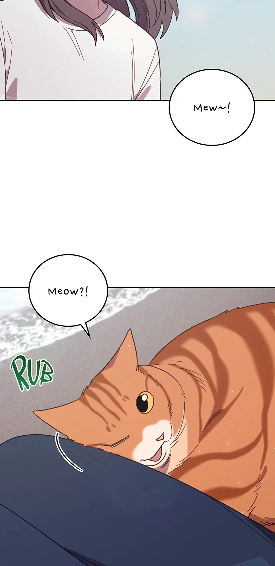 An Animal Hospital in the Border Area Chapter 149 – Page 62