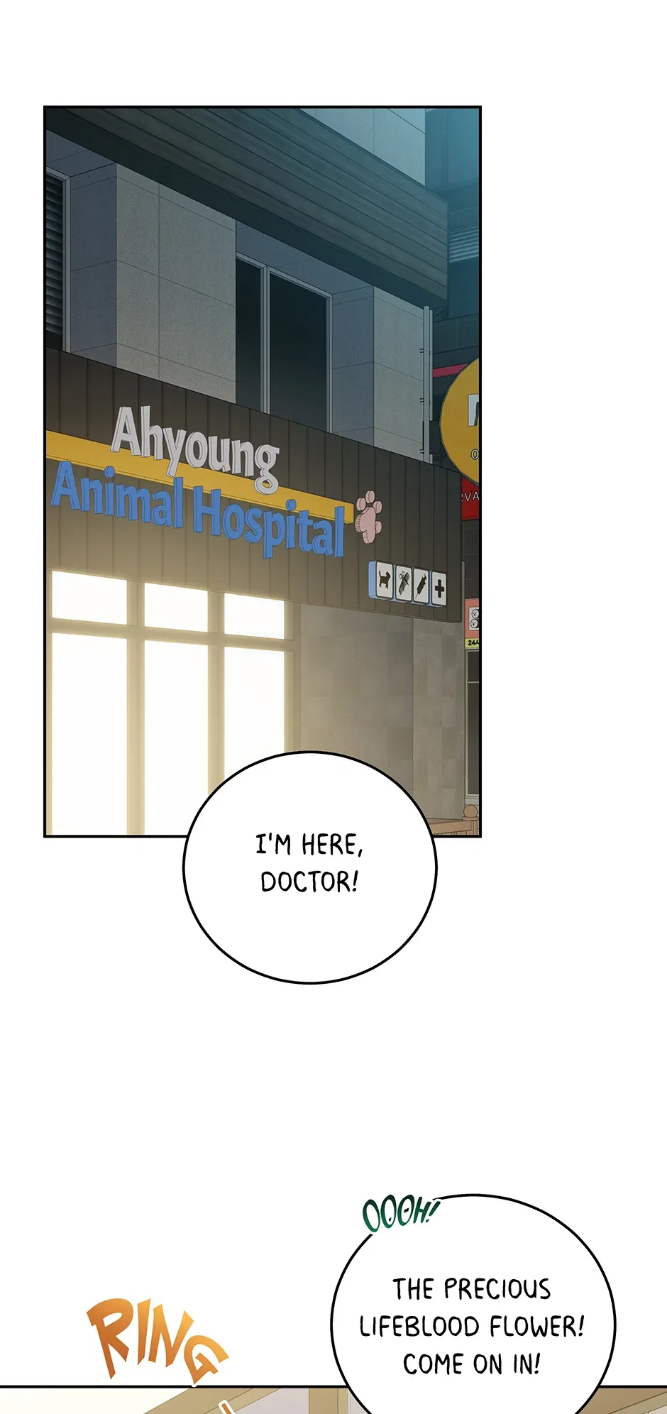 An Animal Hospital in the Border Area Chapter 148 – Page 41
