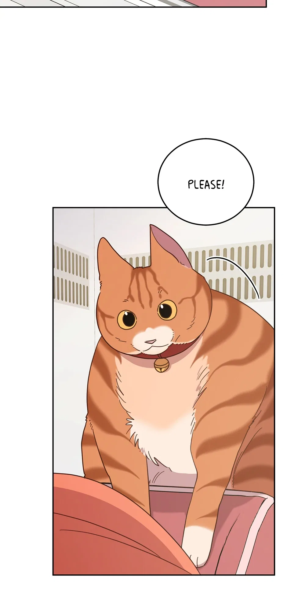 An Animal Hospital in the Border Area Chapter 146 – Page 7