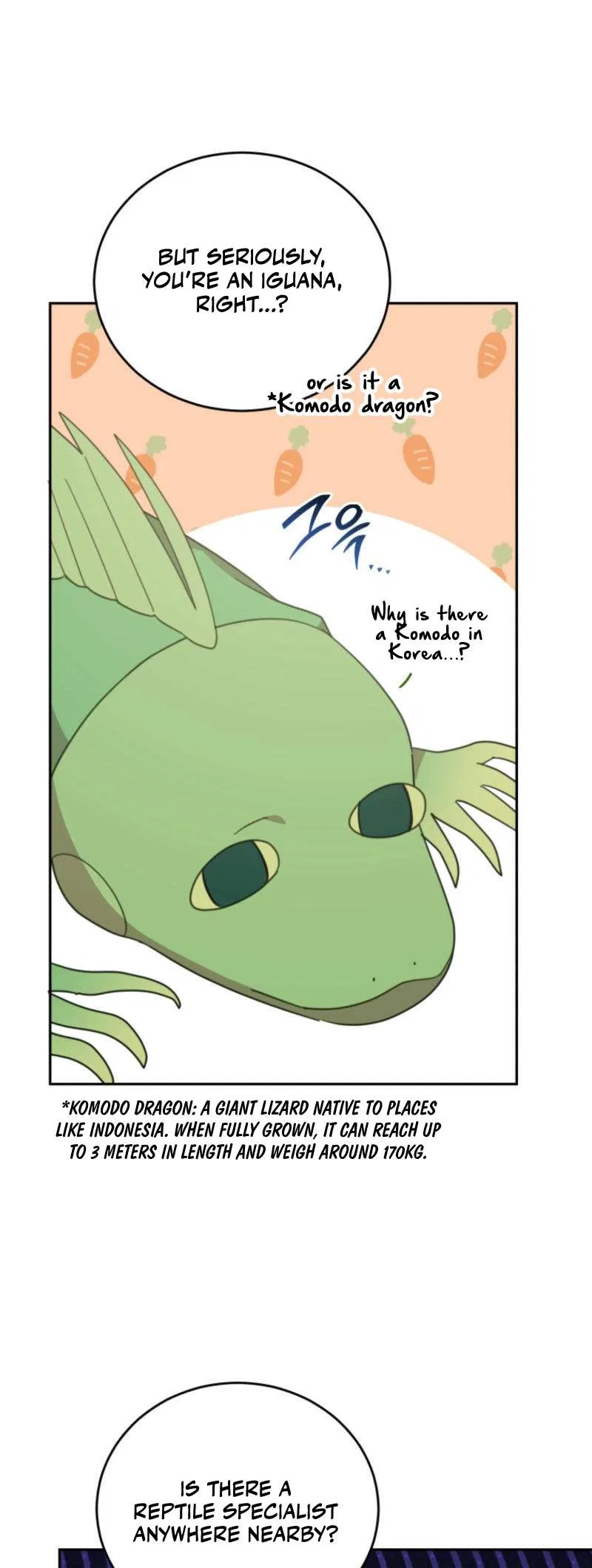 An Animal Hospital in the Border Area Chapter 133 – Page 31