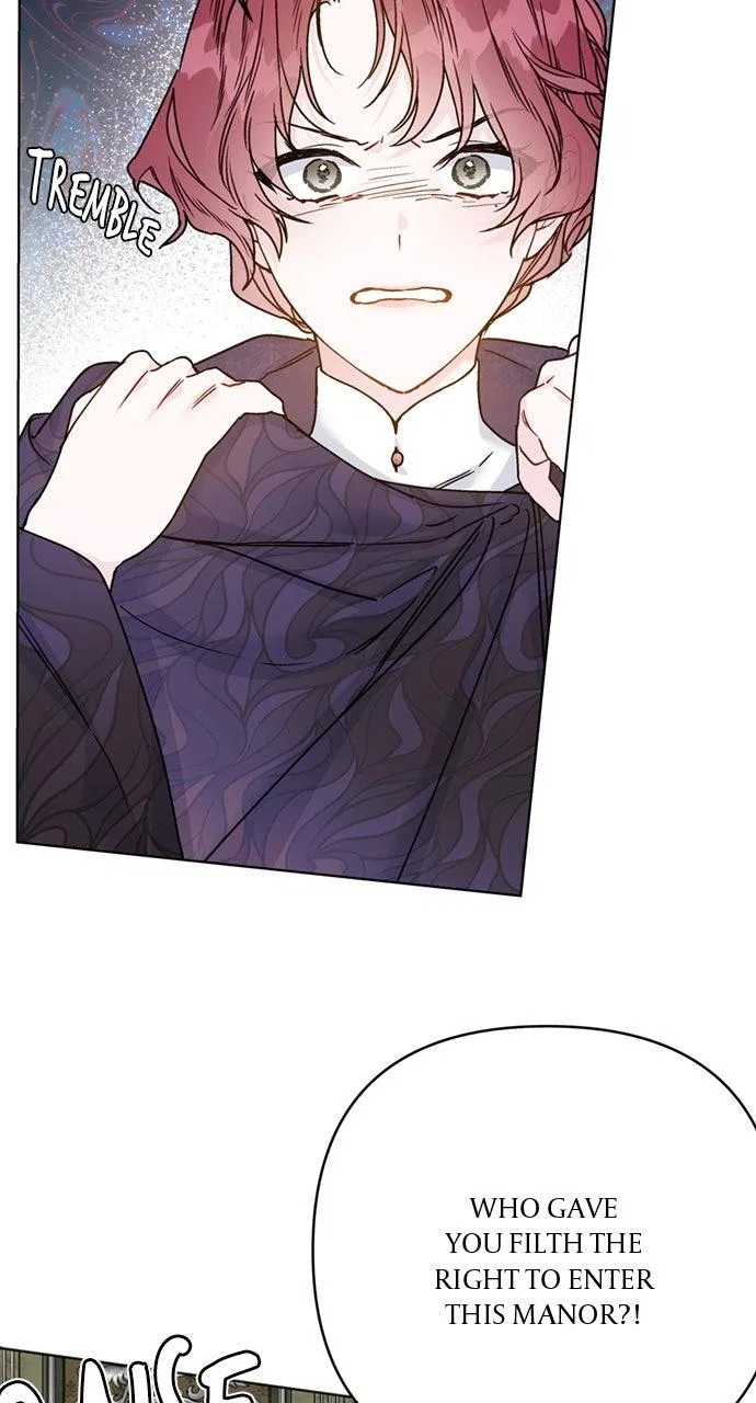 The Way That Knight Lives As a Lady Chapter 172 – Page 6
