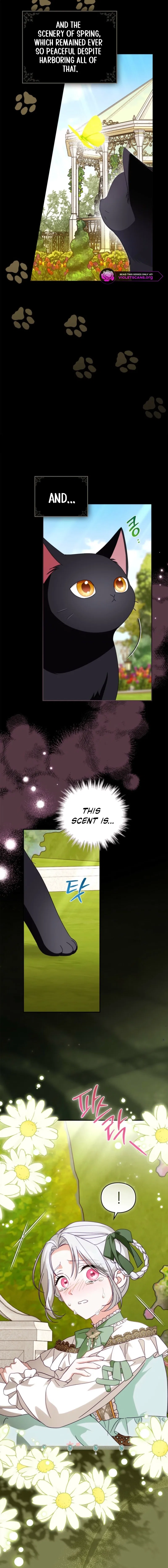 The Search for the Duchess’s Husband Chapter 8 – Page 18