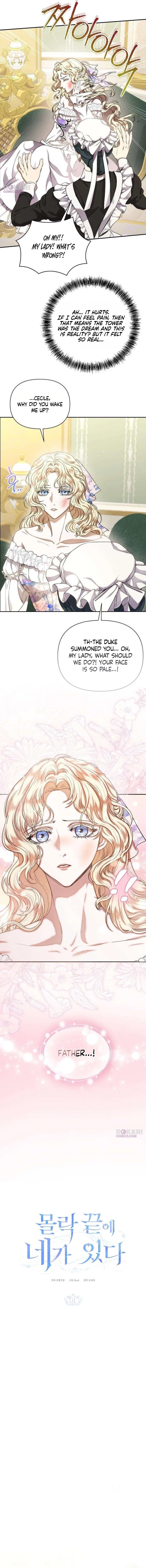 You Are at the End of the Downfall Chapter 1 – Page 12