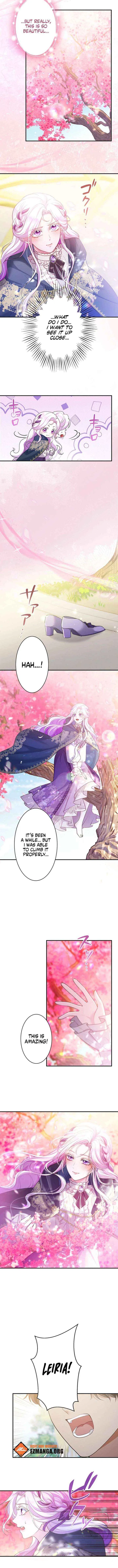 The Quiet Night You Disappeared Nowhere to Run from the Husband I Divorce Chapter 30 – Page 8