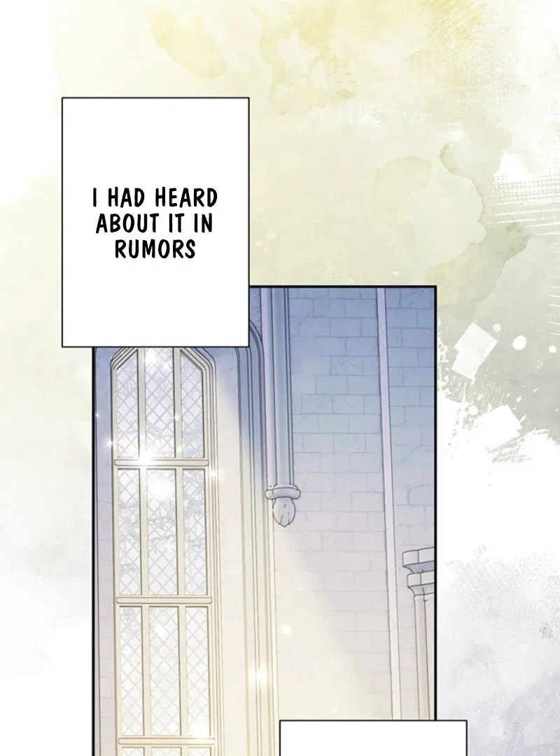 The Quiet Night You Disappeared Nowhere to Run from the Husband I Divorce Chapter 25 – Page 8
