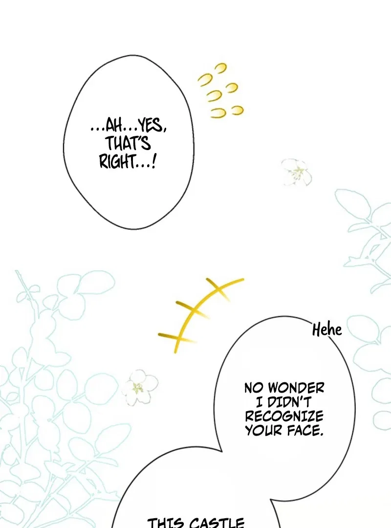The Quiet Night You Disappeared Nowhere to Run from the Husband I Divorce Chapter 25 – Page 44