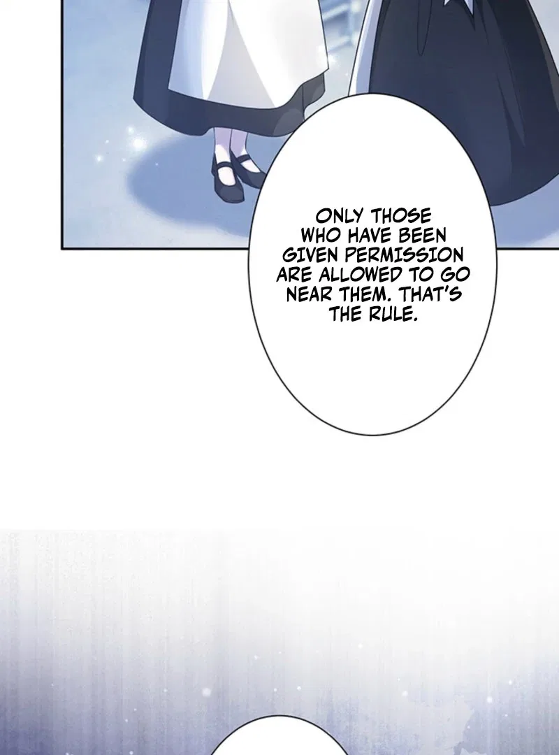 The Quiet Night You Disappeared Nowhere to Run from the Husband I Divorce Chapter 25 – Page 75