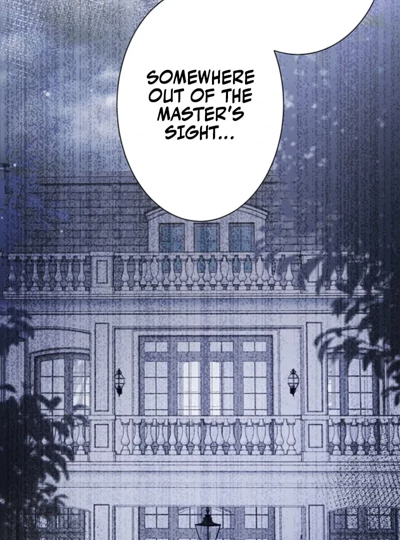 The Quiet Night You Disappeared Nowhere to Run from the Husband I Divorce Chapter 25 – Page 77