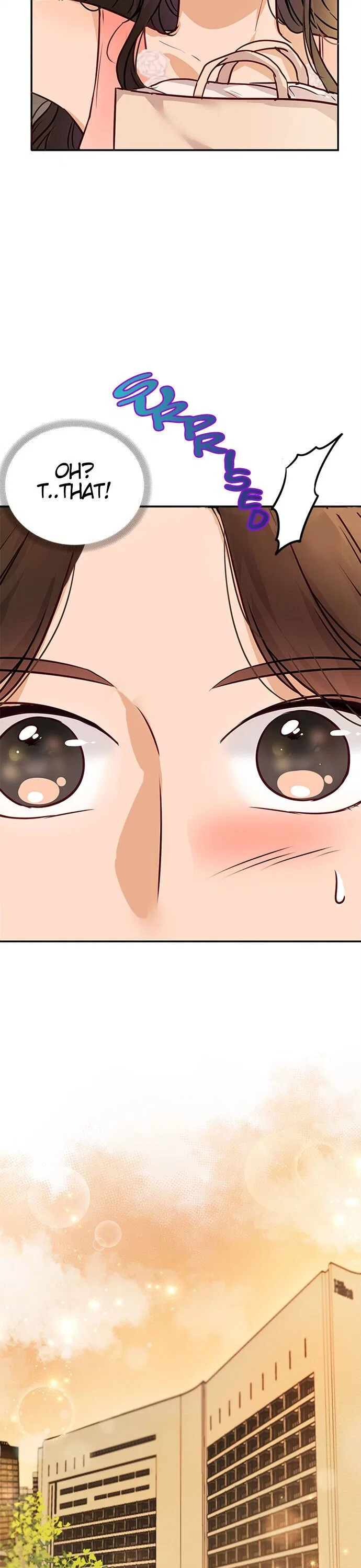 The Story of Park’s Marriage Contract Chapter 6 – Page 15