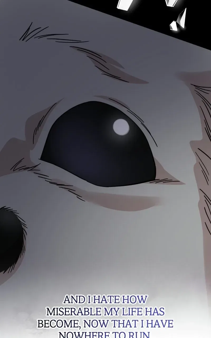 Can You Date a Ranker? Chapter 55 – Page 21
