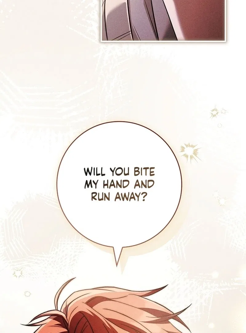 The Regretful Male Lead’s Agency is Now Open for Business! Chapter 30 – Page 63