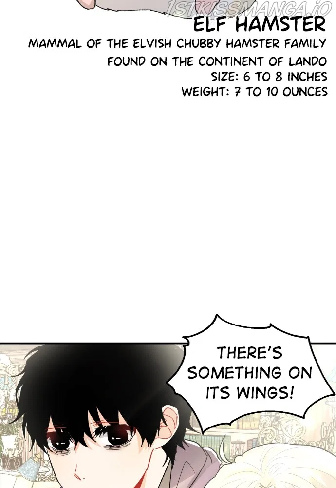 Prince Maker Chapter 53 – Page 73